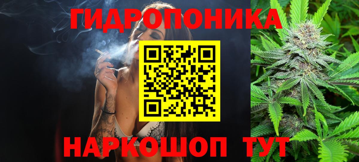 Шишки марихуана планчик Белорецк